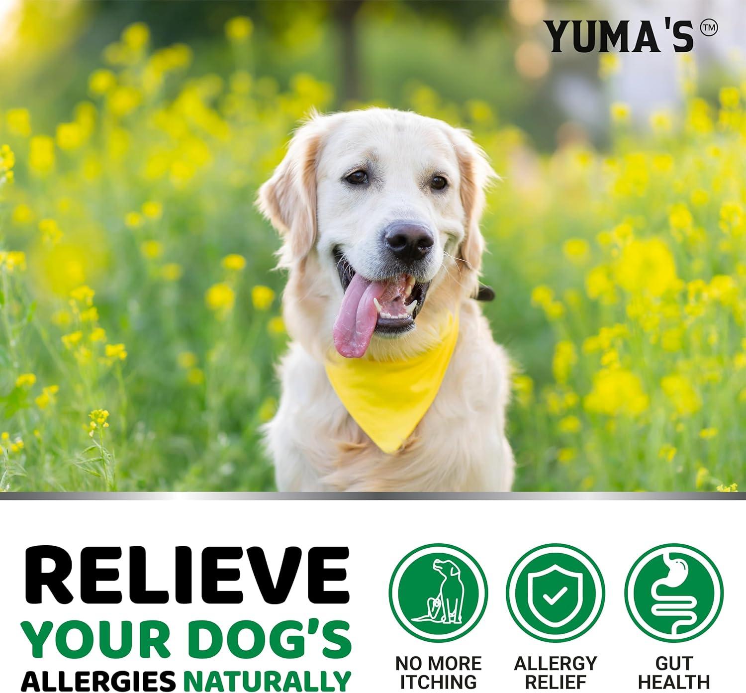 image:imageDog Allergy Relief Chews Dog Itching Skin Relief Treatment Pills 170 Treats AntiItch Chewables Itchy and Paw Licking Hot Spots Omega 3 Fish Oil Dry Skin amp Coat Supplement170 Chews