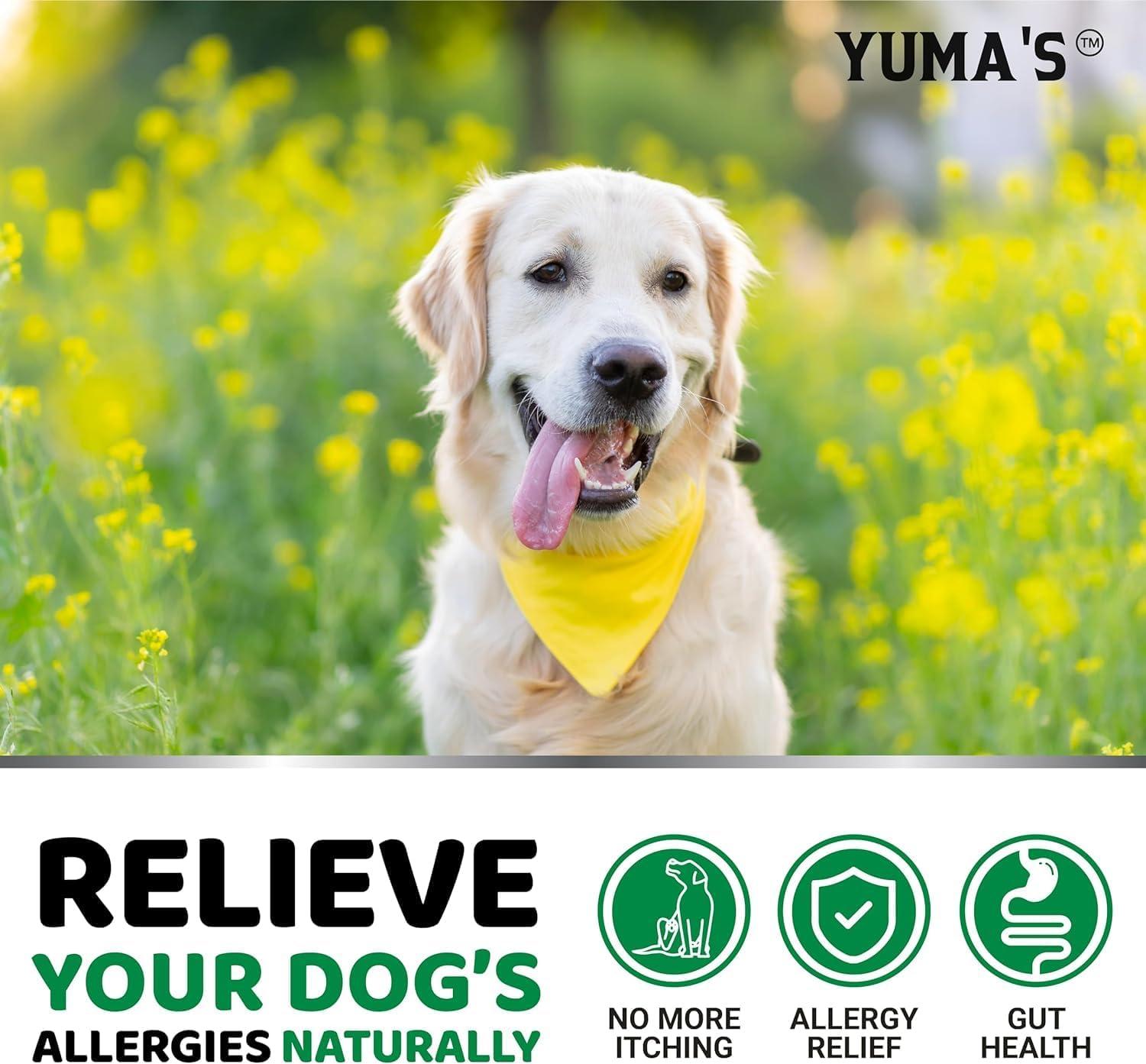 image:imageDog Allergy Relief Chews Dog Itching Skin Relief Treatment Pills 170 Treats AntiItch Chewables Itchy and Paw Licking Hot Spots Omega 3 Fish Oil Dry Skin amp Coat SupplementValue 2Pack 340 Chews