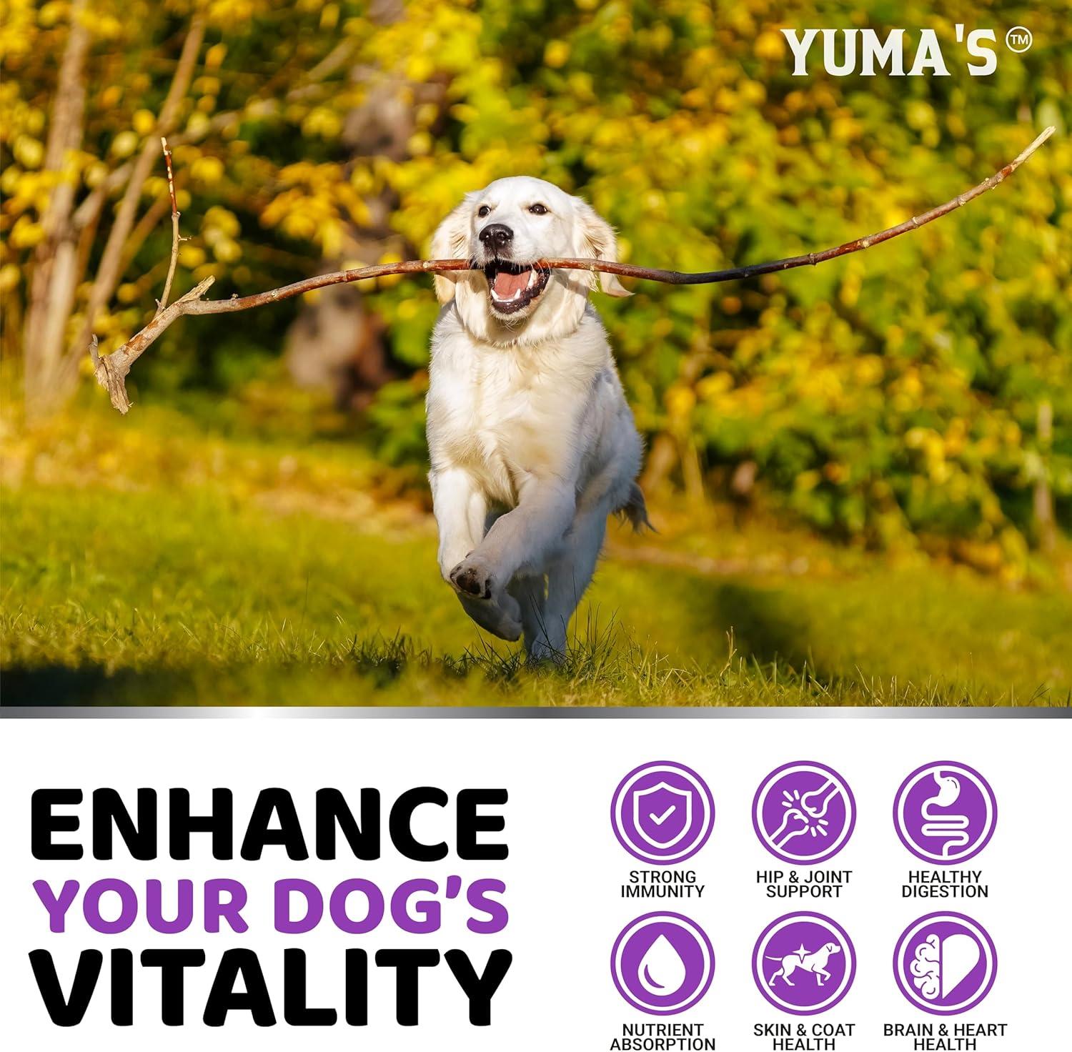 image:imageDog Multivitamin Chewable with Glucosamine Dog Vitamins and Supplements 170 Treats Senior amp Puppy Multivitamin for Dogs Hip amp Joint Support Immune Health Skin Heart Digestion ProbioticsMultivitamin