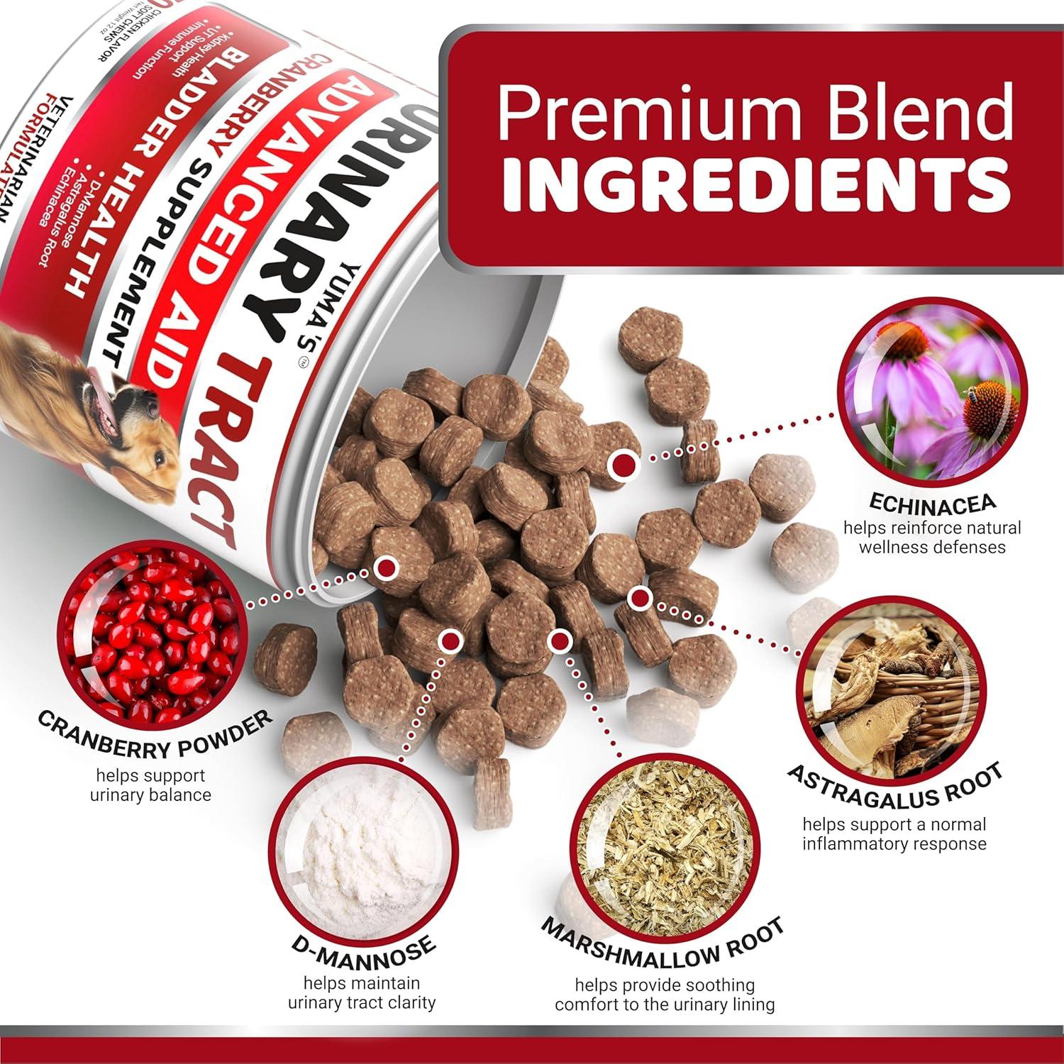 image:imageDog Multivitamin Chewable with Glucosamine Dog Vitamins and Supplements 170 Treats Senior amp Puppy Multivitamin for Dogs Hip amp Joint Support Immune Health Skin Heart Digestion ProbioticsUrinary Bladder