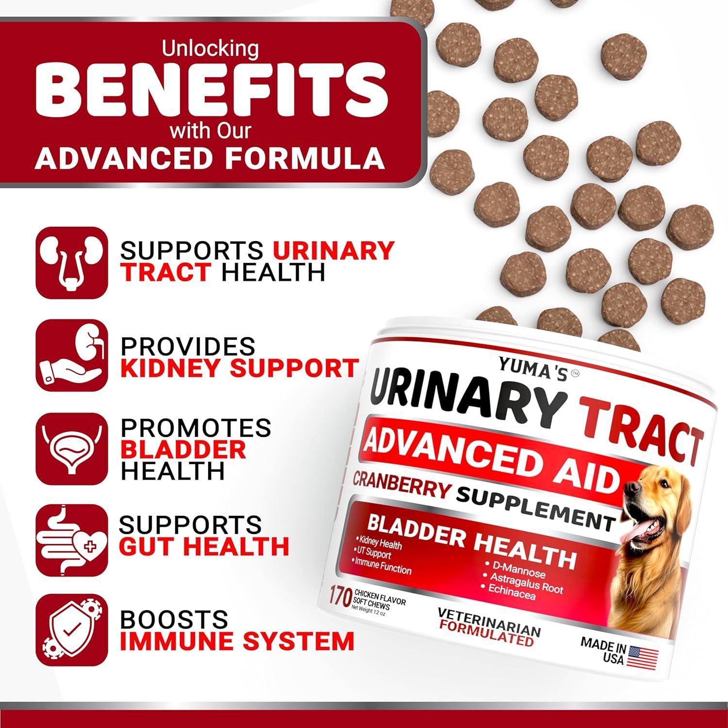 image:imageDog Multivitamin Chewable with Glucosamine Dog Vitamins and Supplements 170 Treats Senior amp Puppy Multivitamin for Dogs Hip amp Joint Support Immune Health Skin Heart Digestion ProbioticsUrinary Bladder