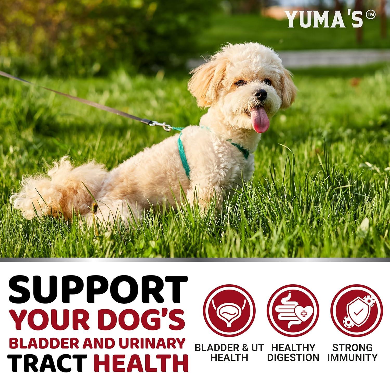 image:imageDog Multivitamin Chewable with Glucosamine Dog Vitamins and Supplements 170 Treats Senior amp Puppy Multivitamin for Dogs Hip amp Joint Support Immune Health Skin Heart Digestion ProbioticsUrinary Bladder