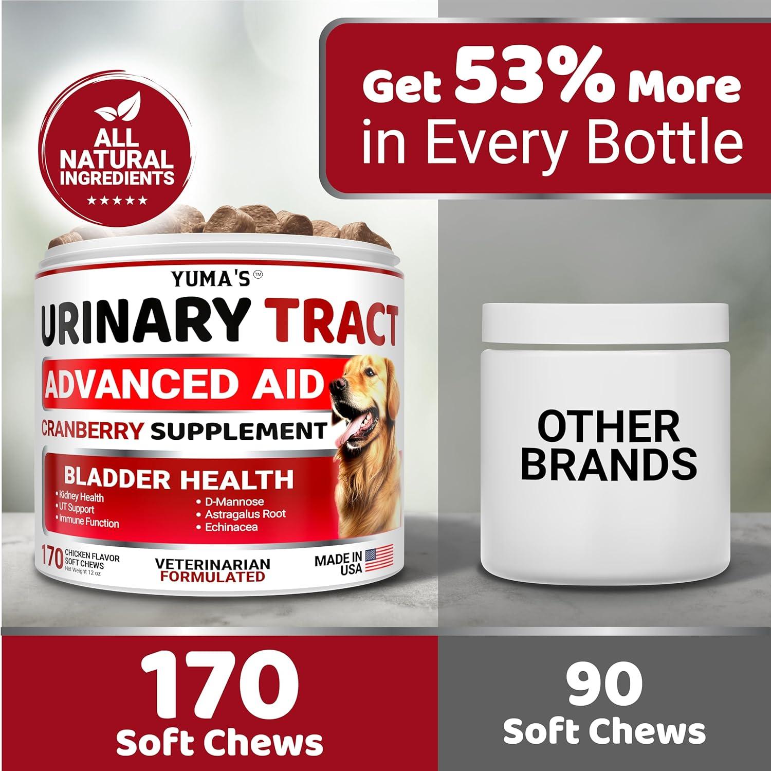 image:imageDog Multivitamin Chewable with Glucosamine Dog Vitamins and Supplements 170 Treats Senior amp Puppy Multivitamin for Dogs Hip amp Joint Support Immune Health Skin Heart Digestion ProbioticsUrinary Bladder