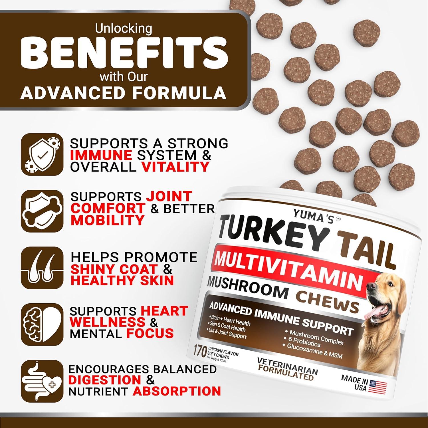 image:imageDog Multivitamin Chewable with Glucosamine Dog Vitamins and Supplements 170 Treats Senior amp Puppy Multivitamin for Dogs Hip amp Joint Support Immune Health Skin Heart Digestion ProbioticsMultivitamin Mushroom Complex