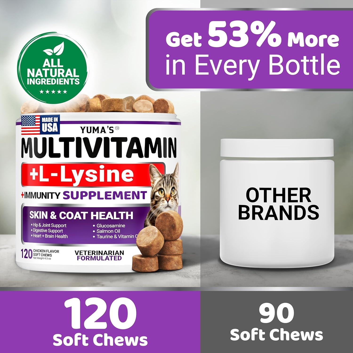 image:imageDog Multivitamin Chewable with Glucosamine Dog Vitamins and Supplements 170 Treats Senior amp Puppy Multivitamin for Dogs Hip amp Joint Support Immune Health Skin Heart Digestion ProbioticsCat Multivitamin