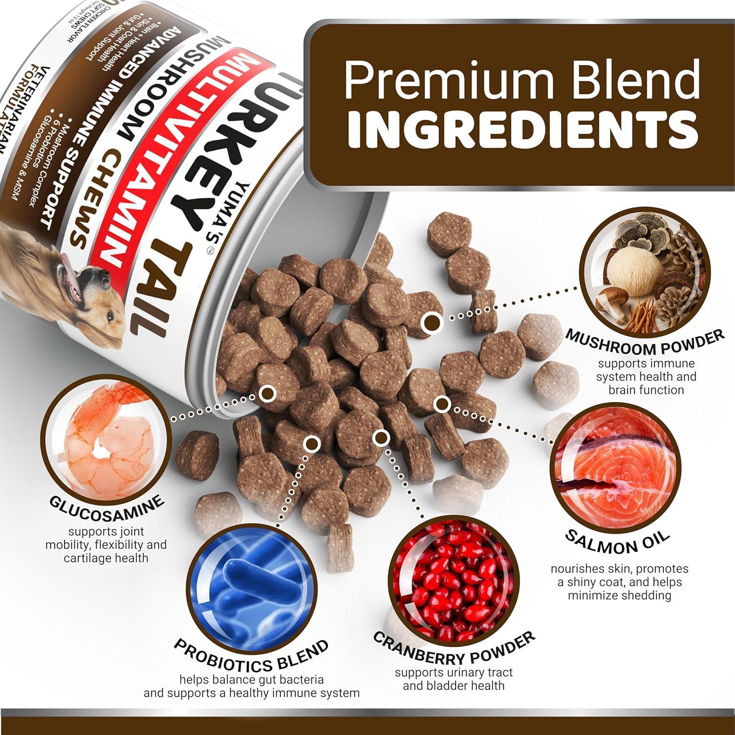 image:imageDog Multivitamin Chewable with Glucosamine Dog Vitamins and Supplements 170 Treats Senior amp Puppy Multivitamin for Dogs Hip amp Joint Support Immune Health Skin Heart Digestion ProbioticsMultivitamin Mushroom Complex
