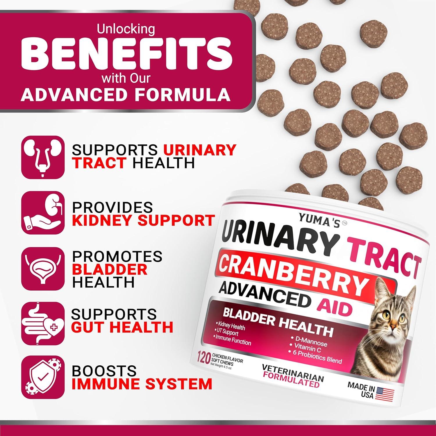 image:imageDog Multivitamin Chewable with Glucosamine Dog Vitamins and Supplements 170 Treats Senior amp Puppy Multivitamin for Dogs Hip amp Joint Support Immune Health Skin Heart Digestion ProbioticsCat Urinary Bladder