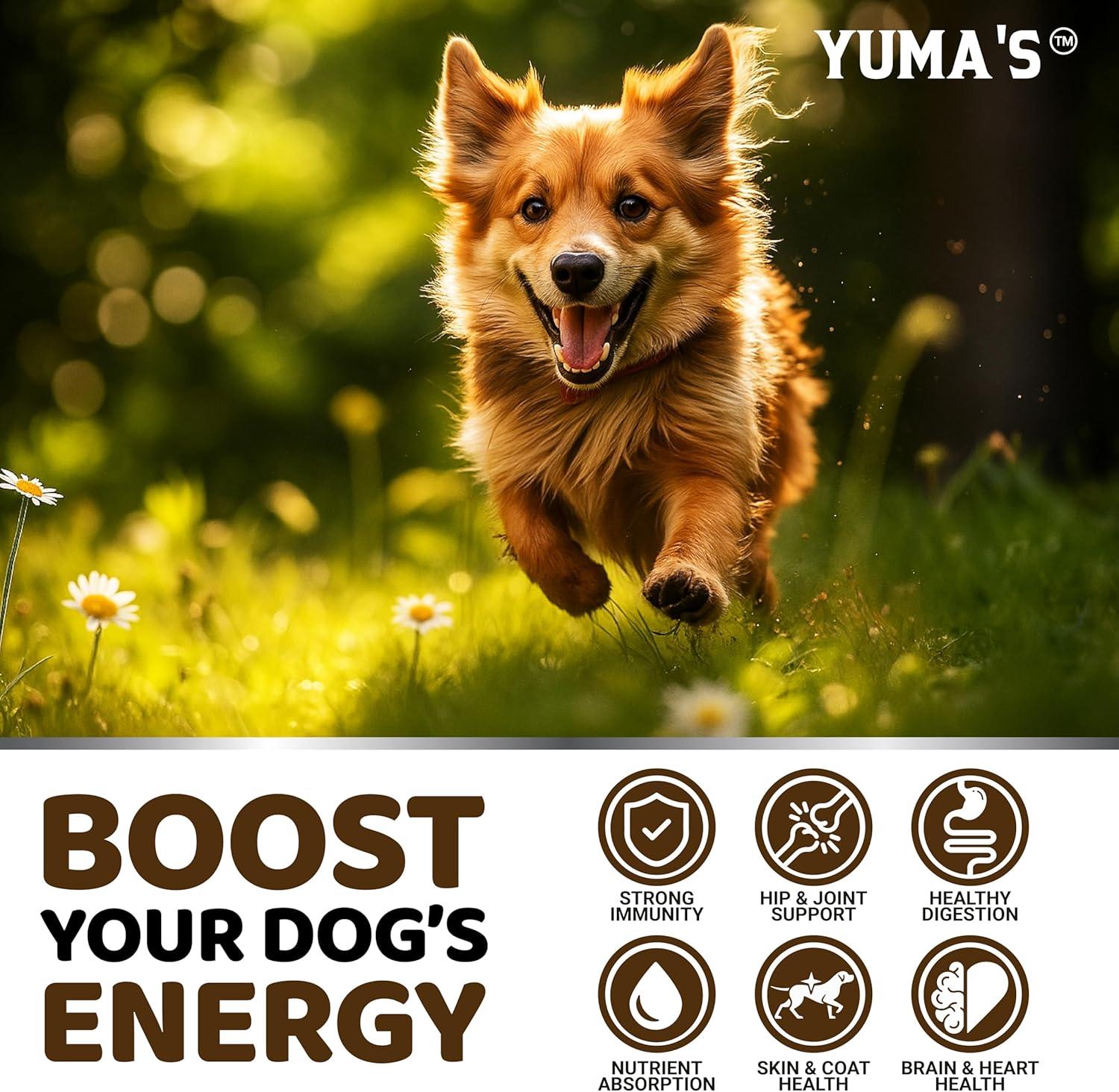 image:imageDog Multivitamin Chewable with Glucosamine Dog Vitamins and Supplements 170 Treats Senior amp Puppy Multivitamin for Dogs Hip amp Joint Support Immune Health Skin Heart Digestion ProbioticsMultivitamin Mushroom Complex