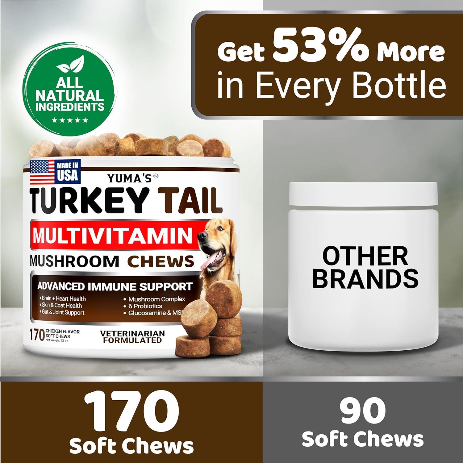image:imageDog Multivitamin Chewable with Glucosamine Dog Vitamins and Supplements 170 Treats Senior amp Puppy Multivitamin for Dogs Hip amp Joint Support Immune Health Skin Heart Digestion ProbioticsMultivitamin Mushroom Complex