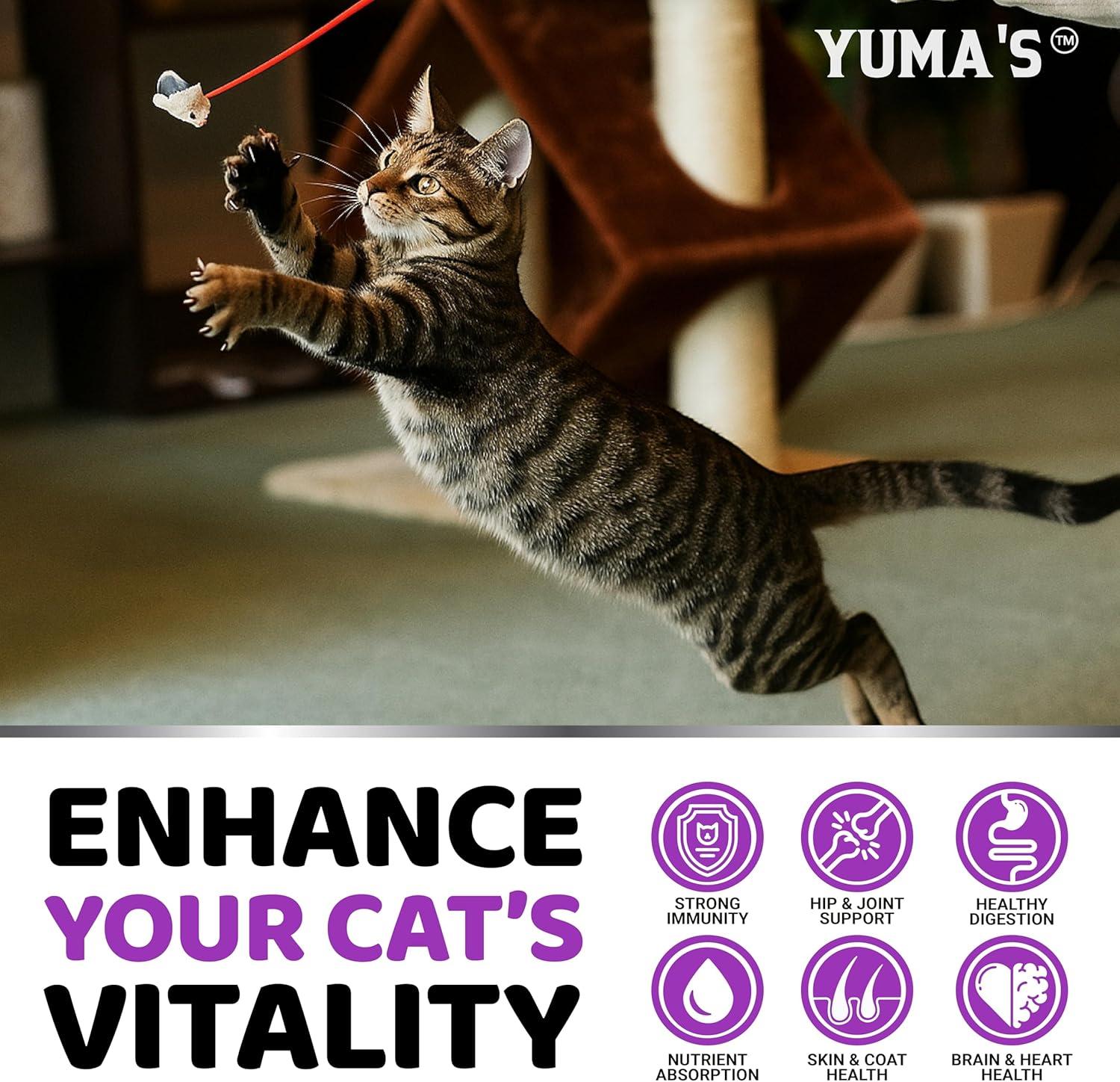 image:imageDog Multivitamin Chewable with Glucosamine Dog Vitamins and Supplements 170 Treats Senior amp Puppy Multivitamin for Dogs Hip amp Joint Support Immune Health Skin Heart Digestion ProbioticsCat Multivitamin