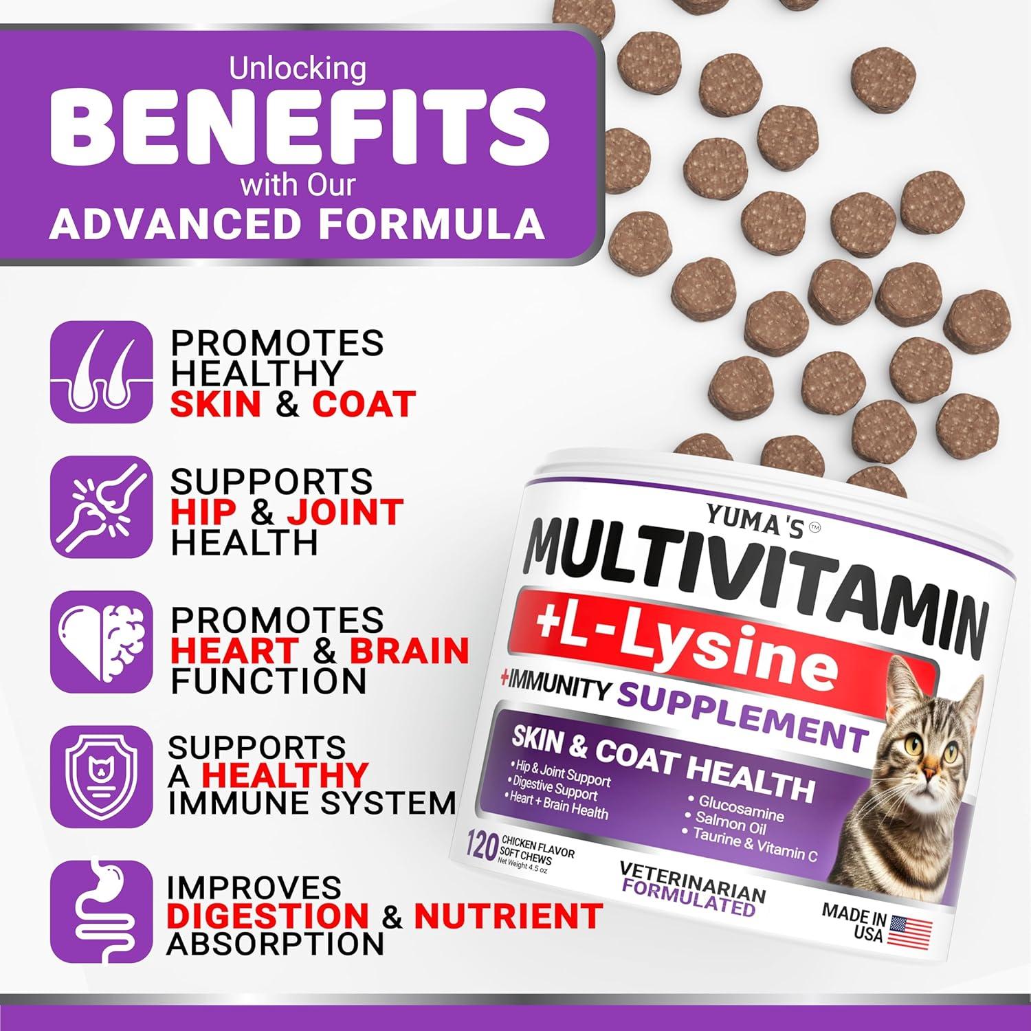 image:imageDog Multivitamin Chewable with Glucosamine Dog Vitamins and Supplements 170 Treats Senior amp Puppy Multivitamin for Dogs Hip amp Joint Support Immune Health Skin Heart Digestion ProbioticsCat Multivitamin