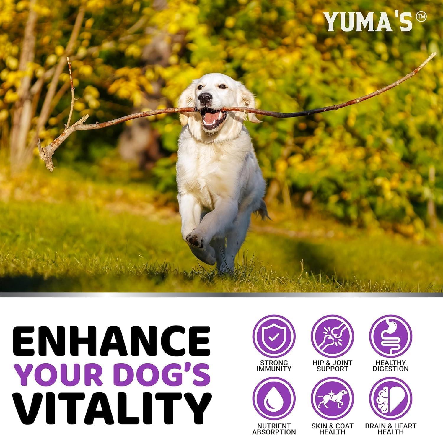 image:imageDog Multivitamin Chewable with Glucosamine Dog Vitamins and Supplements 170 Treats Senior amp Puppy Multivitamin for Dogs Hip amp Joint Support Immune Health Skin Heart Digestion ProbioticsMultivitamin