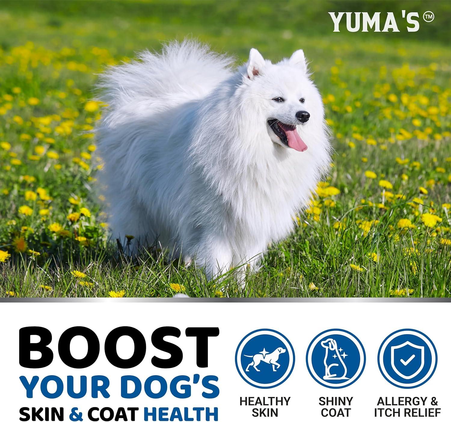 image:imageOmega 3 Fish Oil for Dogs 170 Chews Skin and Coat Supplement Omega 3 for Dogs Dry amp Itchy Skin Relief Treatment Allergy Support Dog Anti Shedding Treats Salmon EPA amp DHA Chicken FlavorSkin Coat