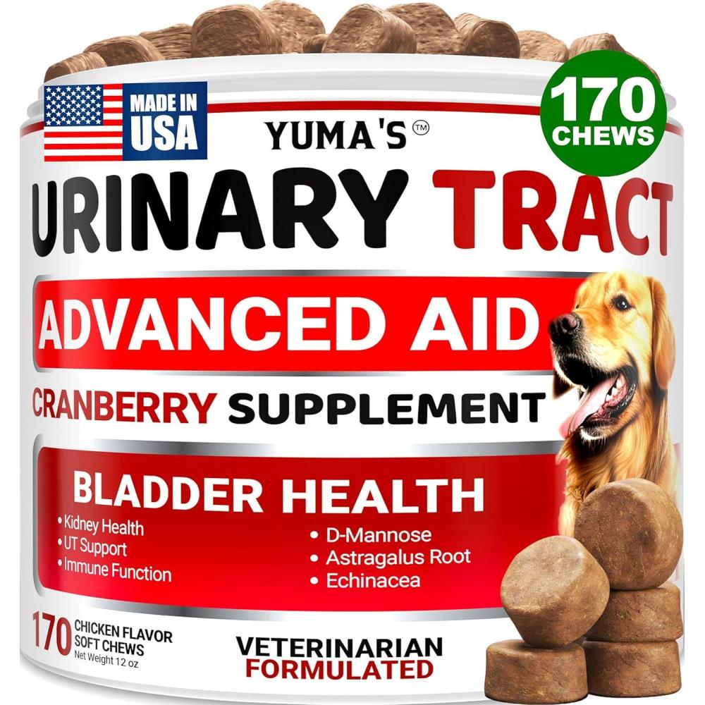 image:imageDog Multivitamin Chewable with Glucosamine Dog Vitamins and Supplements 170 Treats Senior amp Puppy Multivitamin for Dogs Hip amp Joint Support Immune Health Skin Heart Digestion ProbioticsUrinary Bladder