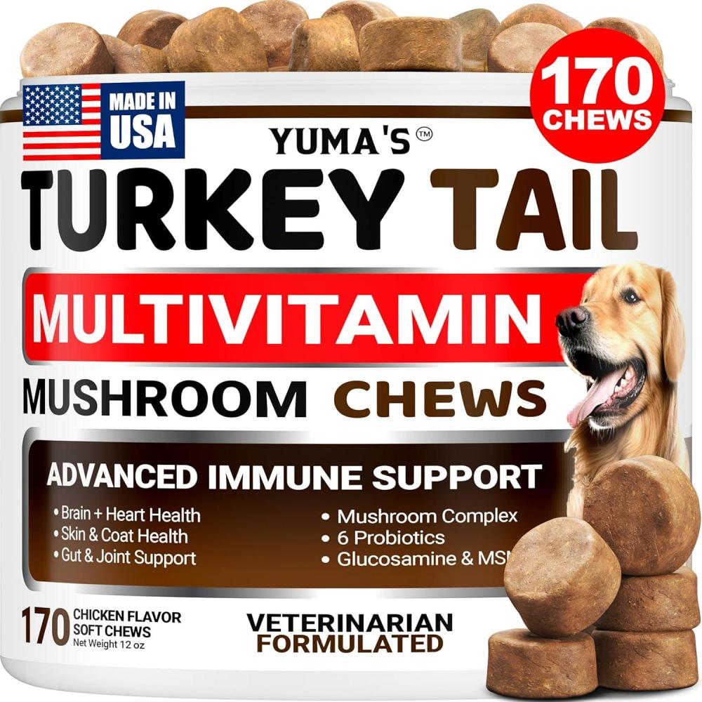 image:imageDog Multivitamin Chewable with Glucosamine Dog Vitamins and Supplements 170 Treats Senior amp Puppy Multivitamin for Dogs Hip amp Joint Support Immune Health Skin Heart Digestion ProbioticsMultivitamin Mushroom Complex