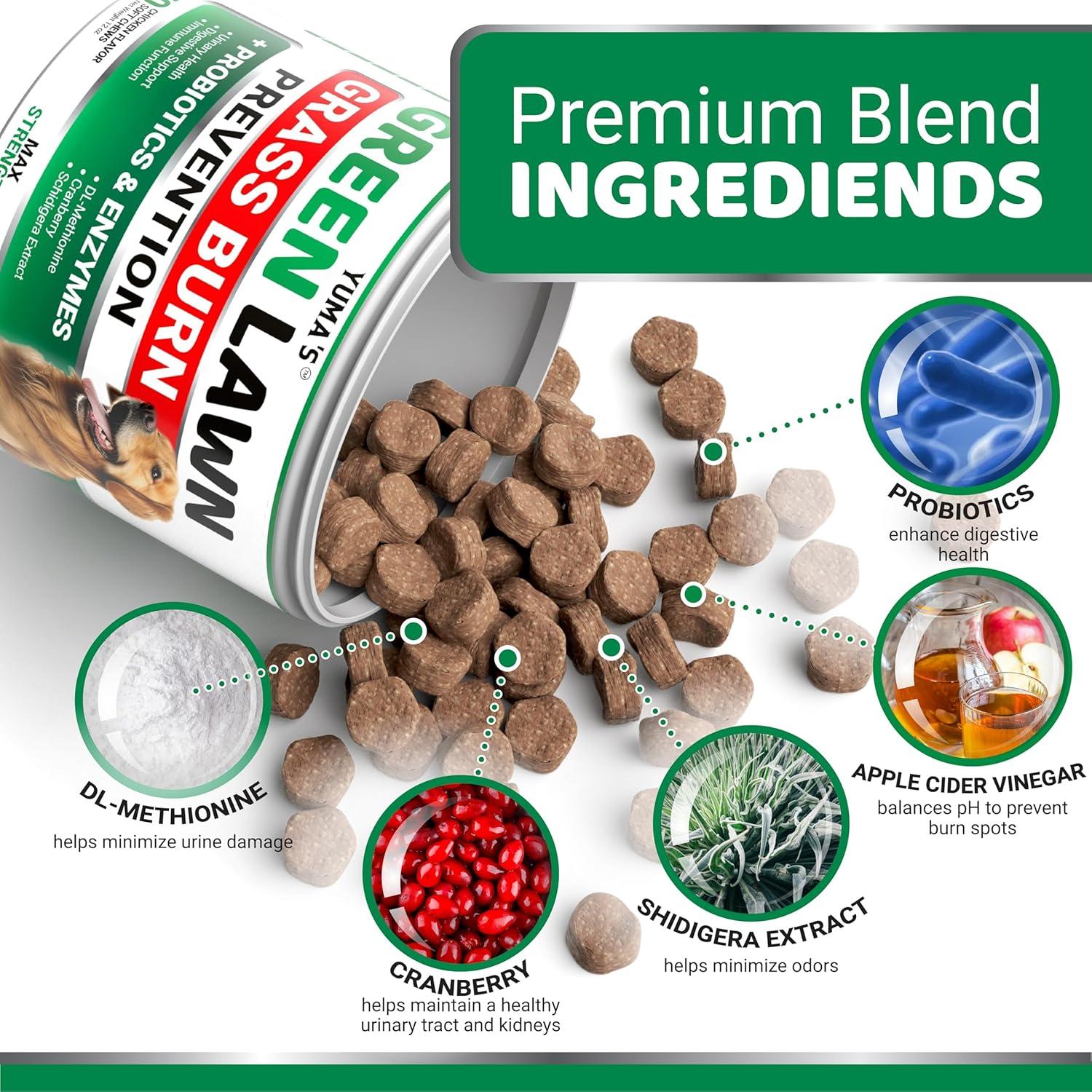 image:imageProbiotics for Dogs and Digestive Enzymes 170 Dog Probiotics Chews Dog Probiotic Anti Diarrhea Upset Stomach amp Gas Relief Constipation Canine Prebiotic Pet Fiber Supplement Gut HealthGreen Lawn Probiotic