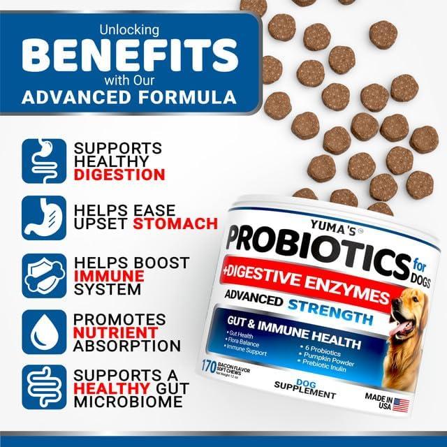 image:imageProbiotics for Dogs and Digestive Enzymes 170 Dog Probiotics Chews Dog Probiotic Anti Diarrhea Upset Stomach amp Gas Relief Constipation Canine Prebiotic Pet Fiber Supplement Gut HealthProbiotic Chews