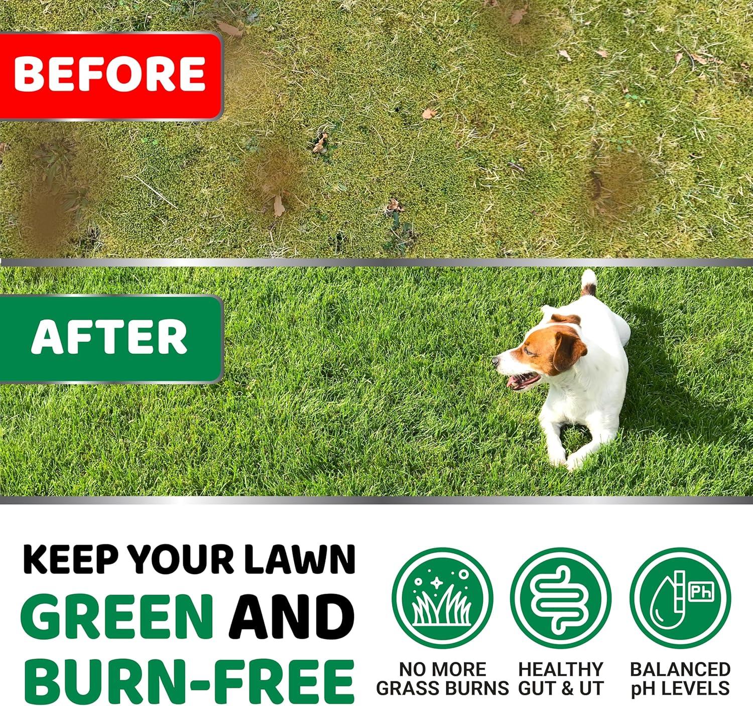 image:imageProbiotics for Dogs and Digestive Enzymes 170 Dog Probiotics Chews Dog Probiotic Anti Diarrhea Upset Stomach amp Gas Relief Constipation Canine Prebiotic Pet Fiber Supplement Gut HealthGreen Lawn Probiotic