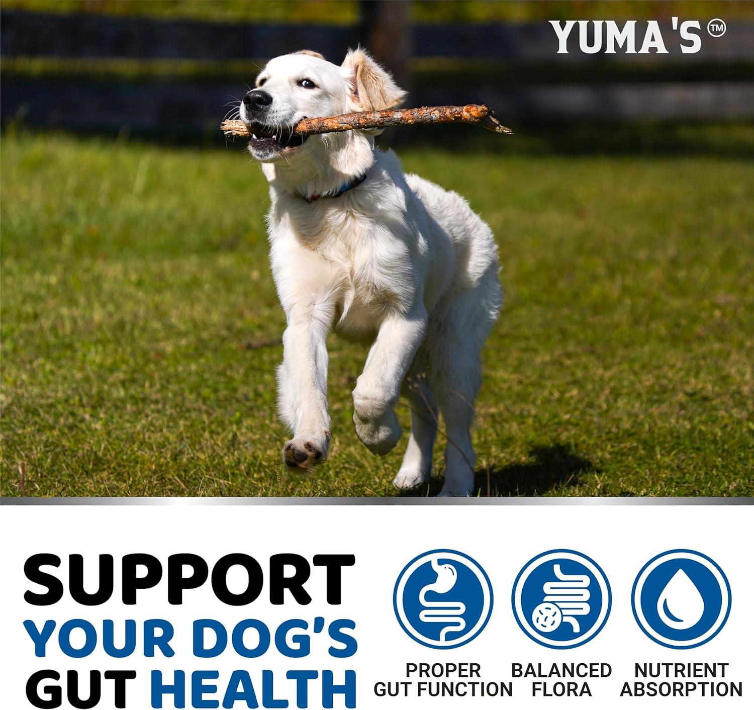 image:imageProbiotics for Dogs and Digestive Enzymes 170 Dog Probiotics Chews Dog Probiotic Anti Diarrhea Upset Stomach amp Gas Relief Constipation Canine Prebiotic Pet Fiber Supplement Gut HealthProbiotics Enzymes