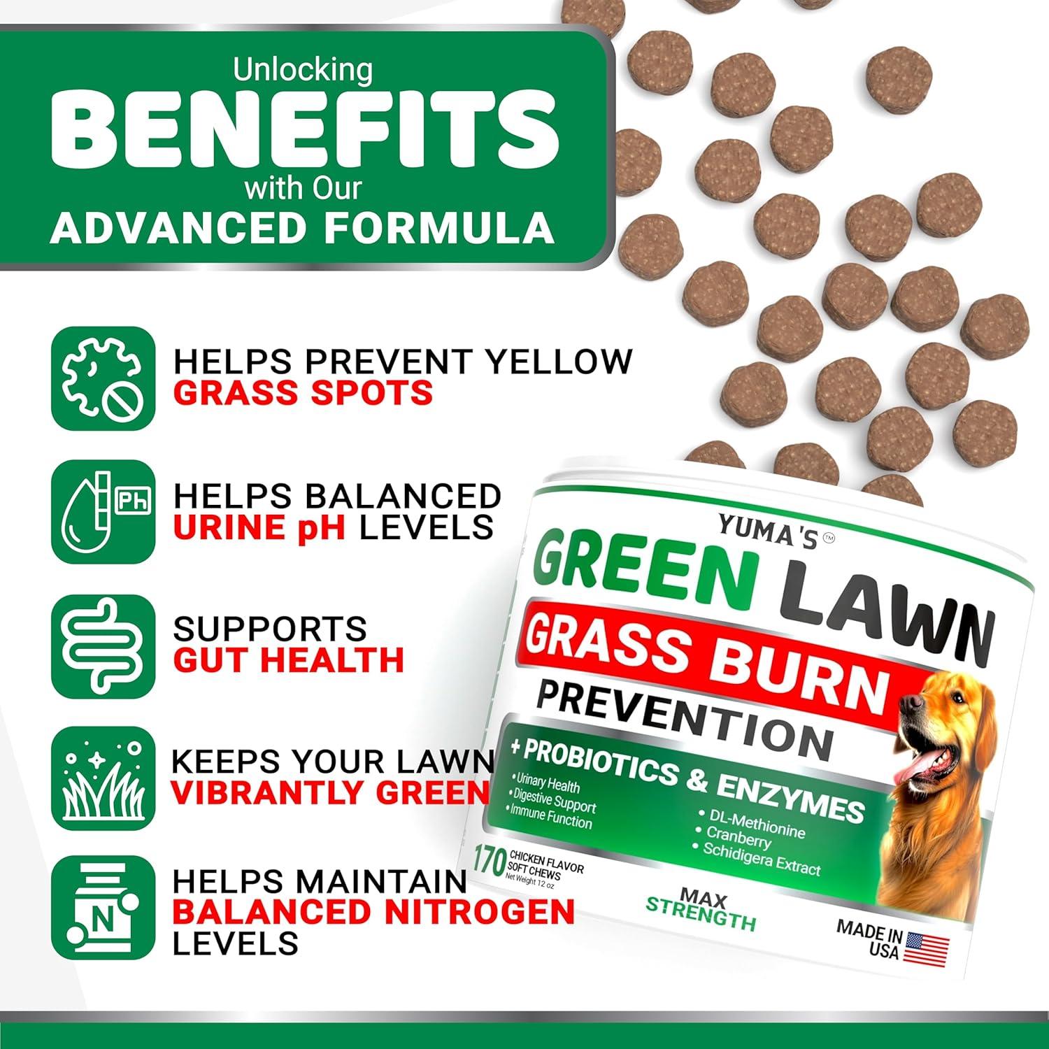 image:imageProbiotics for Dogs and Digestive Enzymes 170 Dog Probiotics Chews Dog Probiotic Anti Diarrhea Upset Stomach amp Gas Relief Constipation Canine Prebiotic Pet Fiber Supplement Gut HealthGreen Lawn Probiotic