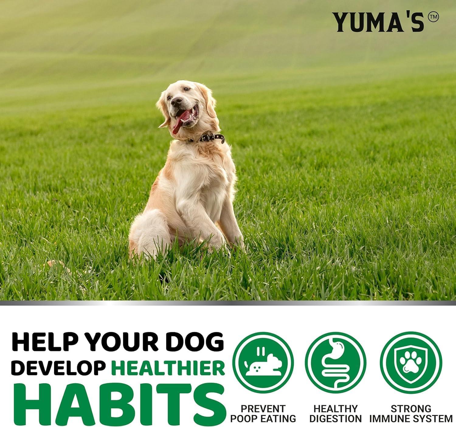 image:imageProbiotics for Dogs and Digestive Enzymes 170 Dog Probiotics Chews Dog Probiotic Anti Diarrhea Upset Stomach amp Gas Relief Constipation Canine Prebiotic Pet Fiber Supplement Gut HealthNo Poo Probiotic Chews