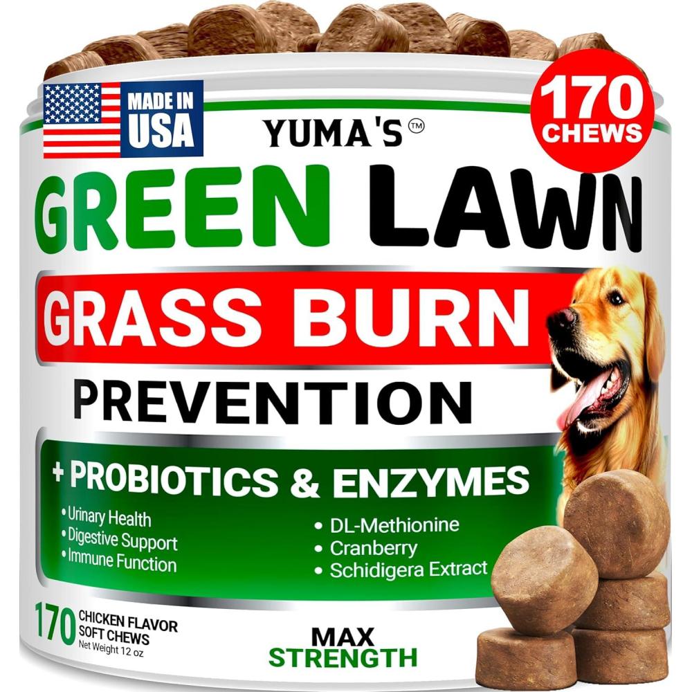 image:imageProbiotics for Dogs and Digestive Enzymes 170 Dog Probiotics Chews Dog Probiotic Anti Diarrhea Upset Stomach amp Gas Relief Constipation Canine Prebiotic Pet Fiber Supplement Gut HealthGreen Lawn Probiotic