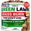 image:imageProbiotics for Dogs and Digestive Enzymes  170 Dog Probiotics Chews  Dog Probiotic  Anti Diarrhea Upset Stomach amp Gas Relief Constipation Canine Prebiotic  Pet Fiber Supplement  Gut HealthGreen Lawn  Probiotic