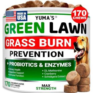Probiotics for Dogs and Digestive Enzymes – 170 Dog Probiotics Chews – Dog Probiotic – Anti Diarrhea, Upset Stomach & Gas Relief, Constipation, Canine Prebiotic – Pet Fiber Supplement – Gut Health(Green Lawn + Probiotic)