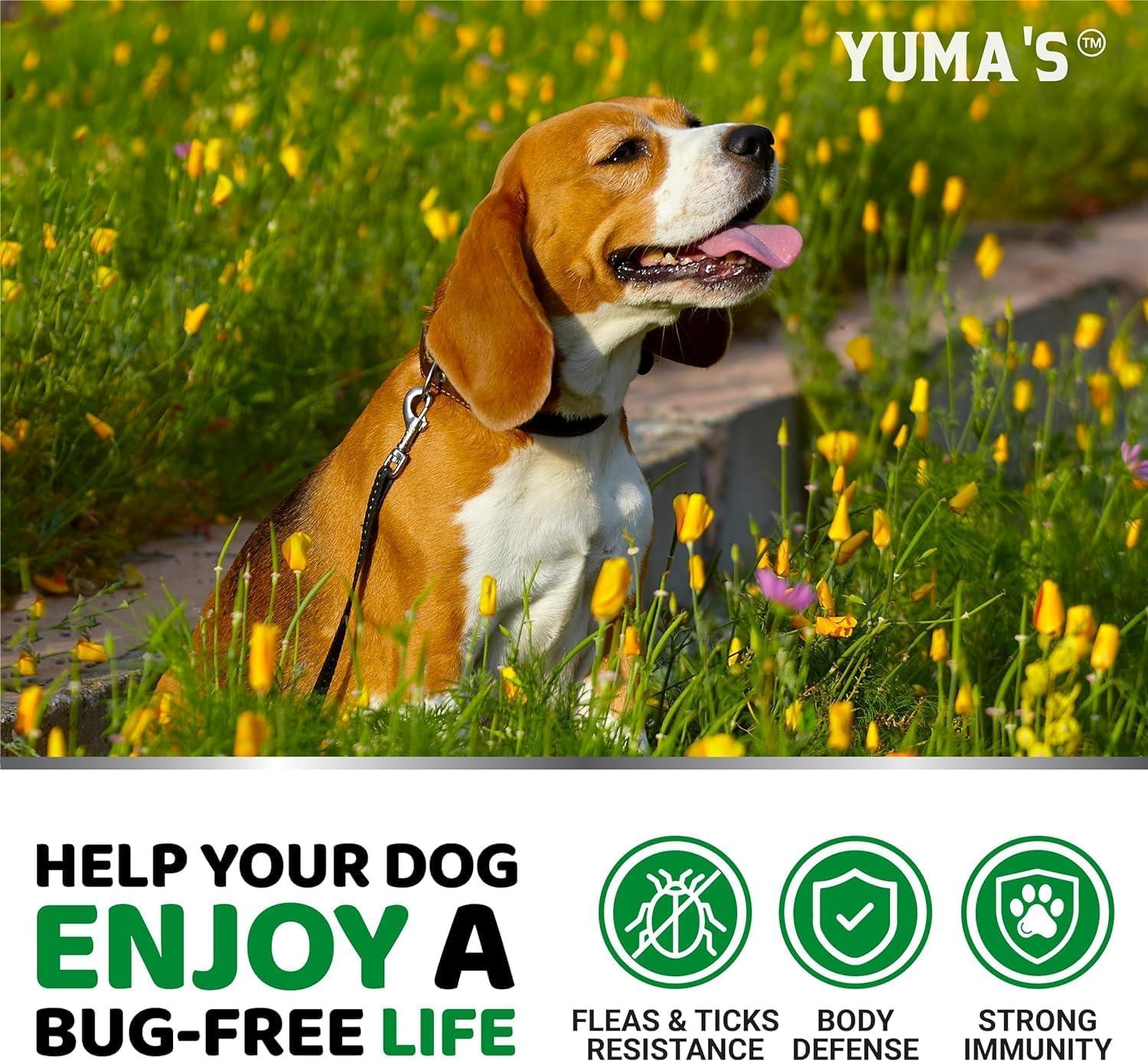 image:imageFlea and Tick Prevention for Dogs Chewables 170 Treats Natural Dog Flea and Tick Treatment Chewable Supplement Oral Pills All Breeds amp Ages Soft Chews Made in USA Chicken FlavorDogs