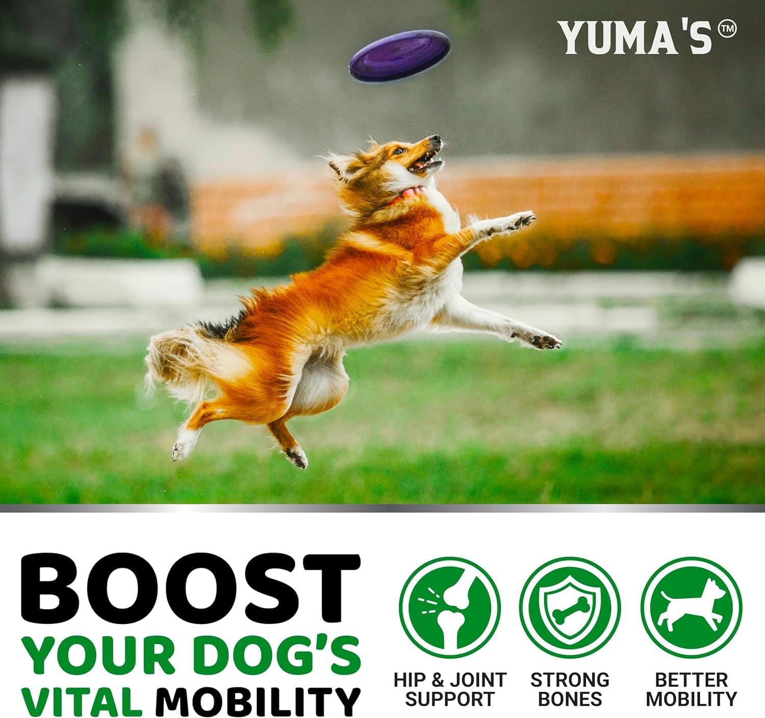 image:imageYUMAS Glucosamine for Dogs Hip and Joint Supplement for Dogs 170 Ct Glucosamine Chondroitin Chews Joint Pain Relief Supplement with MSM Advanced Health Mobility Support Made in USAGlucosamine